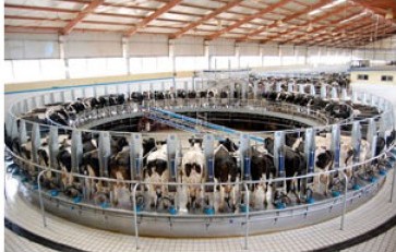 Distribuidor de leche Huelva